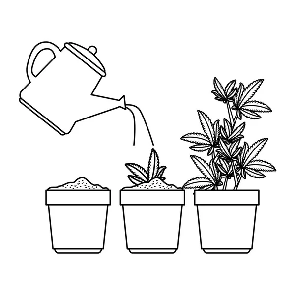 Cannabis planten in potten met water sproeier — Stockvector