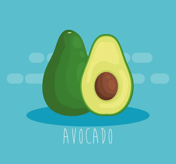 Органическое питание свежих фруктов авокадо — стоковый вектор