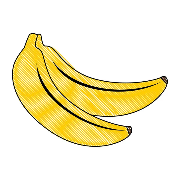 Banana fresh fruit healthy — Stock Vector