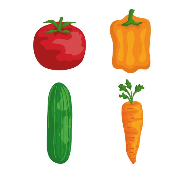 Tomat uppsättning med peppar och gurka med morot — Stock vektor