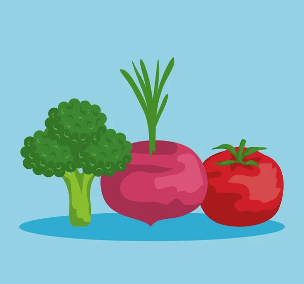 Свежий брокколи с луком и томатным овощем — стоковый вектор
