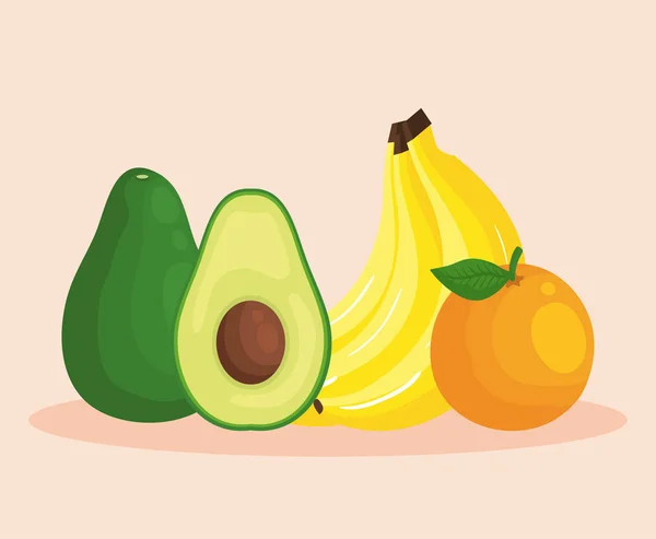 Aguacate fresco con plátanos y frutas de naranja — Vector de stock