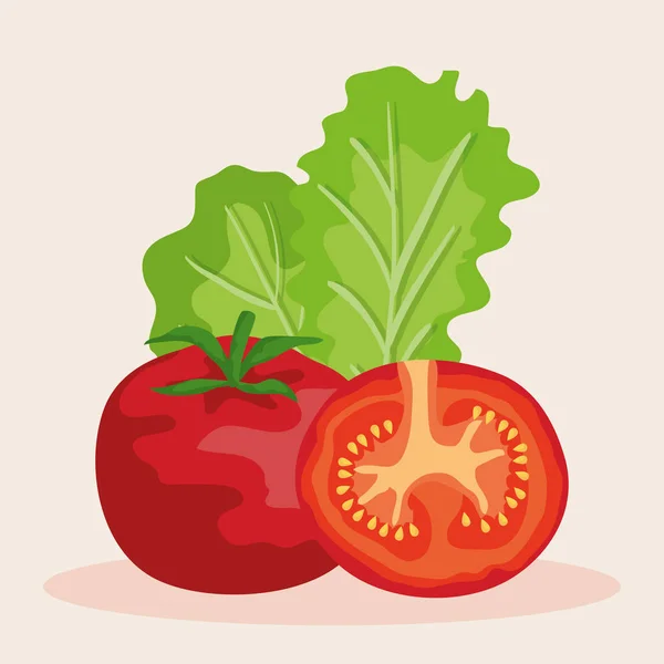 Frische Tomaten mit Salatgemüse Ernährung — Stockvektor