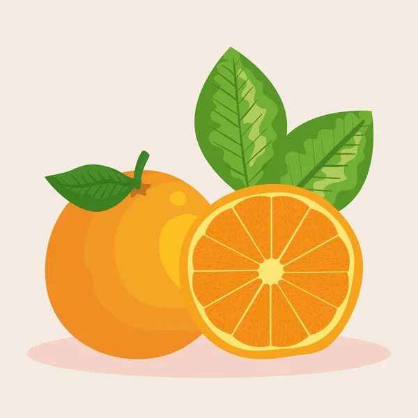 Fruta de naranja fresca nutrición ecológica — Vector de stock