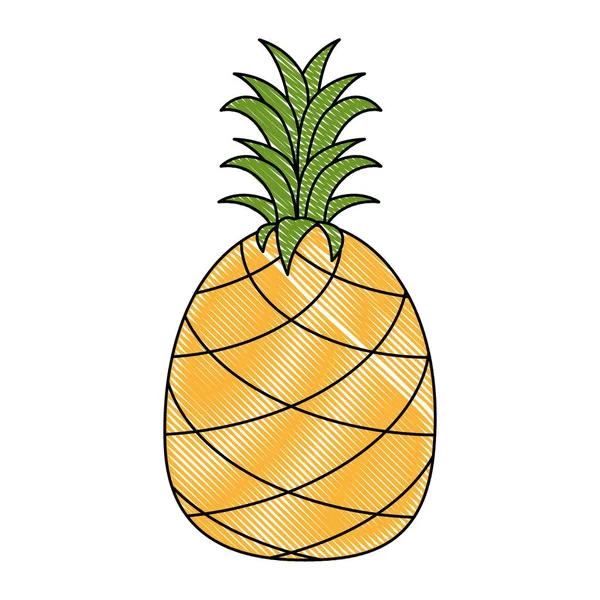 Ananas vers fruit gezond — Stockvector