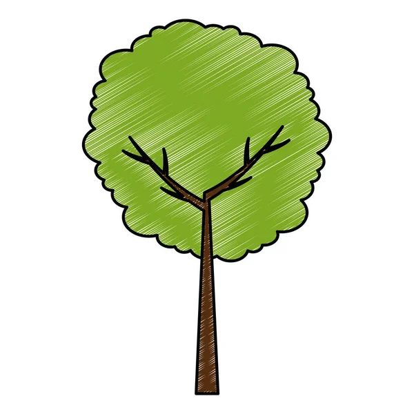 Árbol planta naturaleza icono — Vector de stock