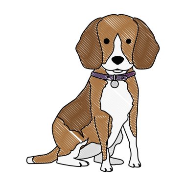 sevimli köpek ırkı karakter