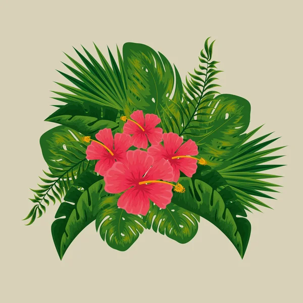 Tropical flowers with nature branches leaves — Stock Vector