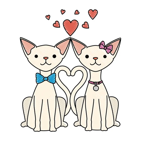 Χαριτωμένο ζευγάρι γάτες μασκότ με καρδιές χαρακτήρες — Διανυσματικό Αρχείο