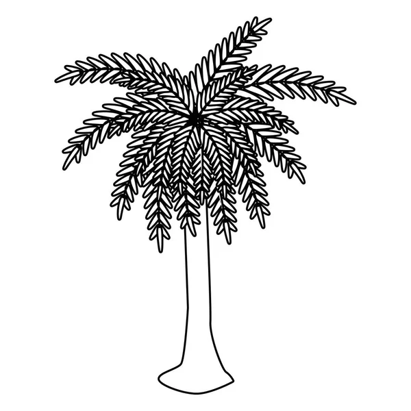 Izolované symbol stromu palm letní — Stockový vektor