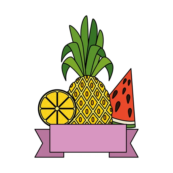 Летняя рама с тропическими и свежими фруктами — стоковый вектор