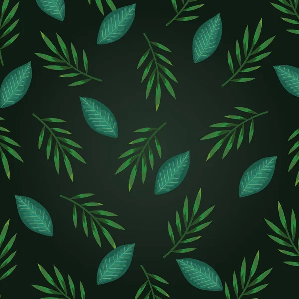 Ramas tropicales hojas planta exótica — Vector de stock