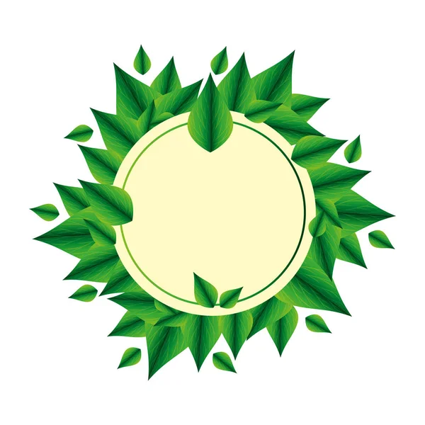 Екологічні листя рослини круглої рамки — стоковий вектор