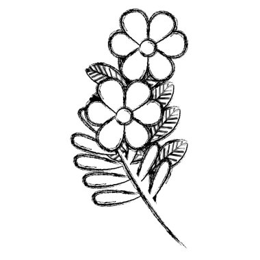 çiçek ve yapraklar dekoratif simgesi