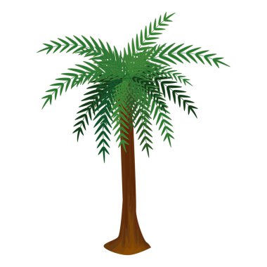 ağaç palm yaz izole simgesi