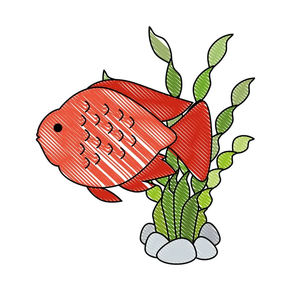 Милая декоративная рыба с водорослями — стоковый вектор
