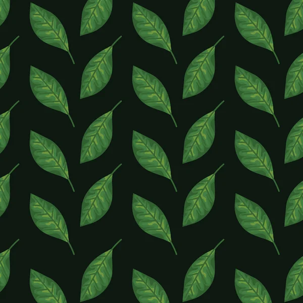 Nature feuilles style plantes tropicales — Image vectorielle