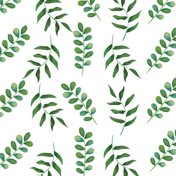 Branch with leafs plants pattern background — Stock Vector