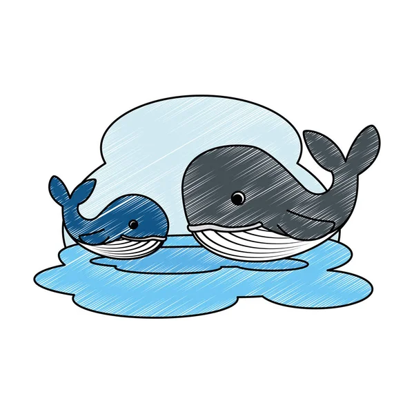 Schattige moeder en zoon walvissen personages — Stockvector