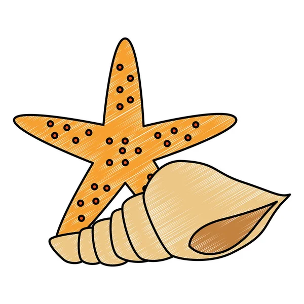 Étoile de mer avec coquille d'escargot — Image vectorielle