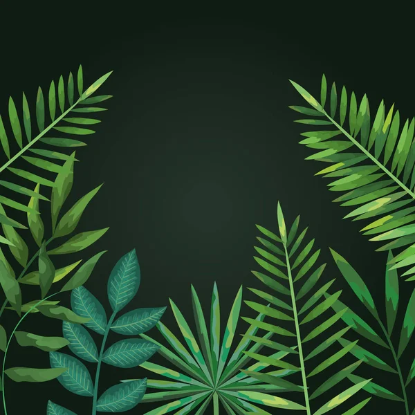 Feuilles tropicales style plantes exotiques — Image vectorielle