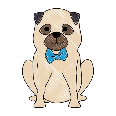 sevimli köpek ırkı karakter