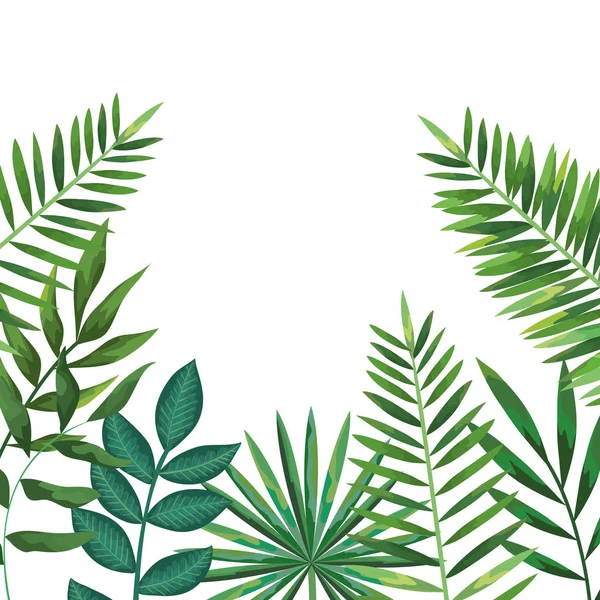 Hojas exóticas y tropicales patrón de plantas — Vector de stock