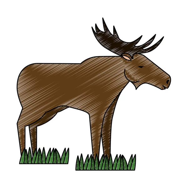 Kanadai jávorszarvas vad ikon — Stock Vector