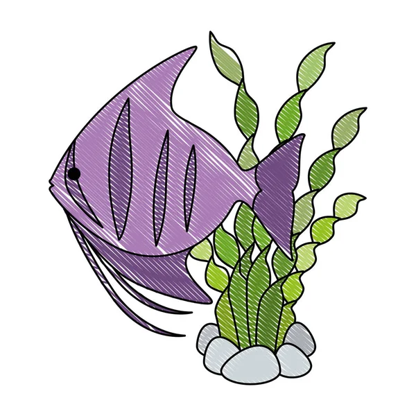 海藻を使ったかわいい観賞魚 — ストックベクタ