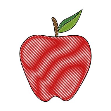 elma taze meyve sağlıklı