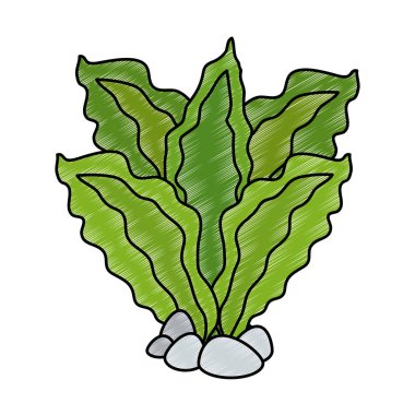 akvaryum dekoratif yosun simgesi