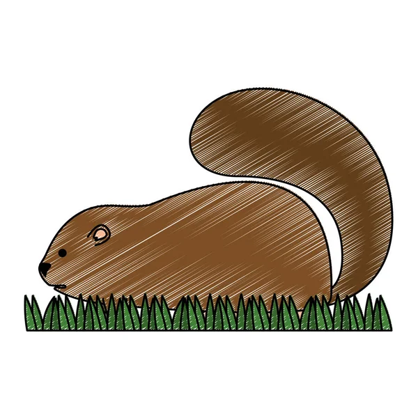 Lindo icono de marmota canadiense — Vector de stock