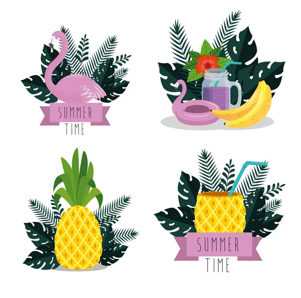 Set of summer time with tropical fruits and leaves plants — Stock Vector