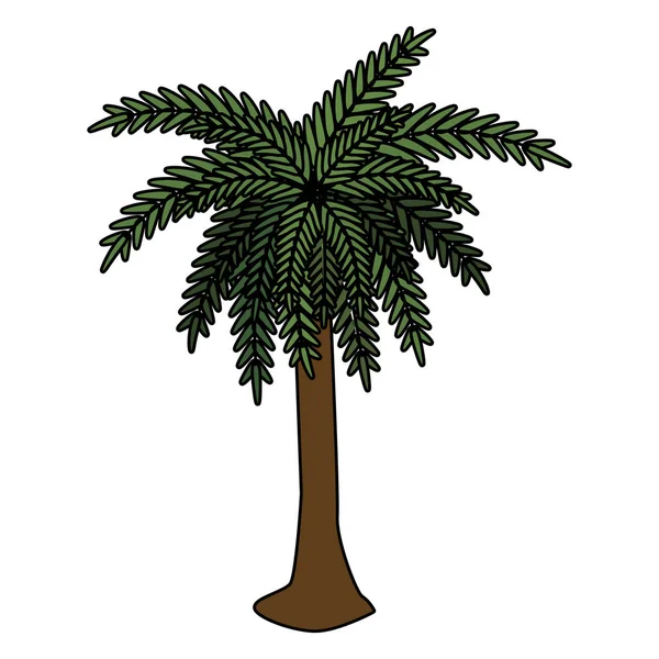 Árbol palma verano aislado icono — Vector de stock