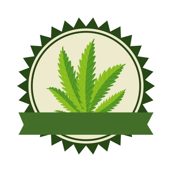 Planta de cannabis hojas naturaleza marco — Vector de stock