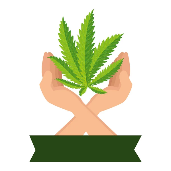 大麻の葉の植物を保護する手 — ストックベクタ