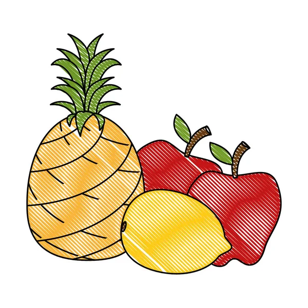 Definir frutas frescas e saudáveis — Vetor de Stock