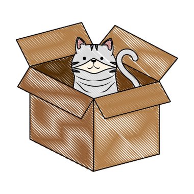 karton kutu karakter sevimli kedi maskotu