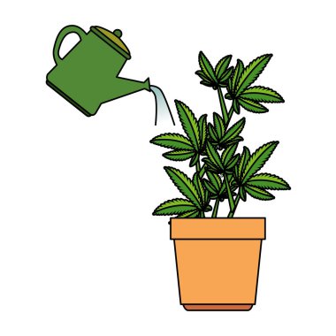 su fıskiye ile tencerede esrar bitki