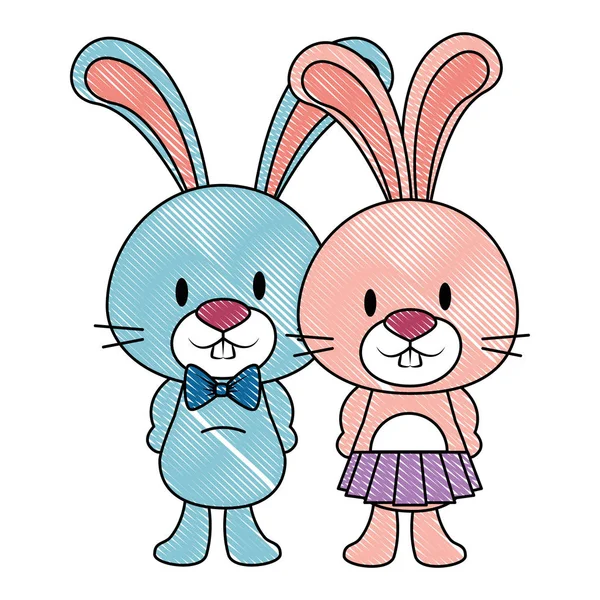 Şirin ve sevimli tavşan çift karakter — Stok Vektör