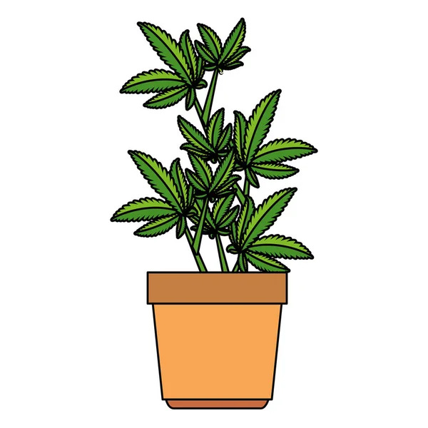Saksı simgesinde esrar bitkisi — Stok Vektör