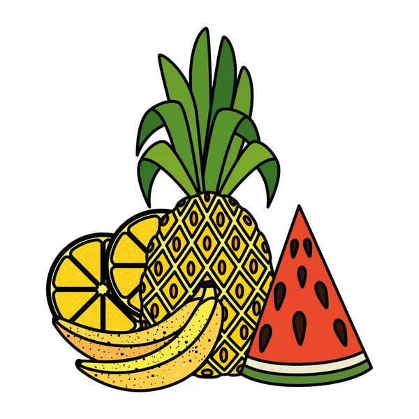 Verano frutas frescas naturaleza iconos — Vector de stock
