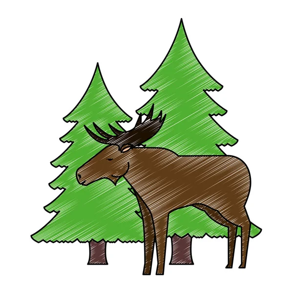 Canadian elk wild with pines forest — Stock Vector