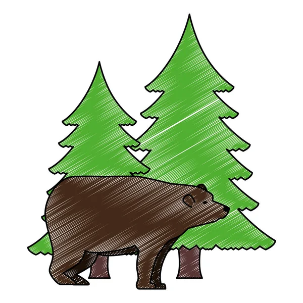 Bear grizzly with pines forest — Stock Vector