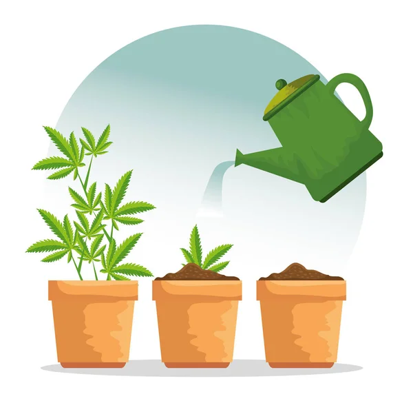 植物ポットと水やり瓶の自然大麻植物 — ストックベクタ