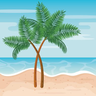 deniz ve kum ile plajda egzotik palmiye ağaçları