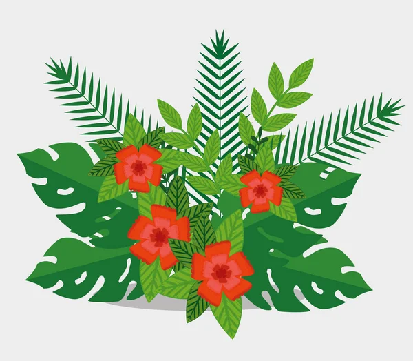 Tropical flowers plants with exotic leaves — Stock Vector
