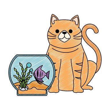 renkleri balık ve kedi ile akvaryum kase