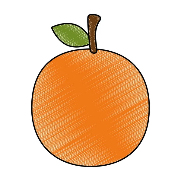 Icono de fruta naranja fresca — Vector de stock
