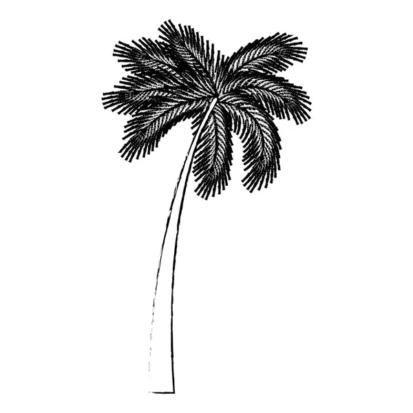 Fa palm természetes ikon — Stock Vector